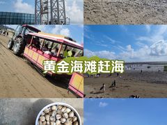 -启东黄金海滩景区