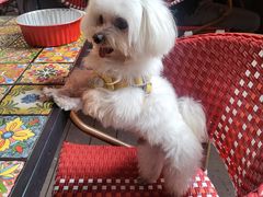 -BROWNSTONE布朗石西班牙餐厅(富城店)