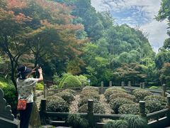 -十八棵（老龙井）御茶园(老龙井店)