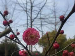 -汉水公园