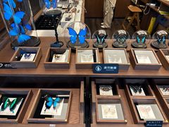-中旅阿那亚九龙湖·公主酒店