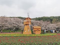 -苏州上方山国家森林公园