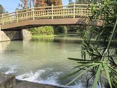 -桤木河湿地公园