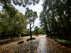 -上海共青森林公园