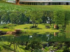 -云溪植物园