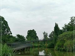 -白鹭湾湿地公园