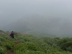 -大觉寺-停车场