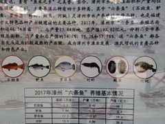 -东南花都花博园