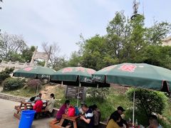 -紫金山山顶公园