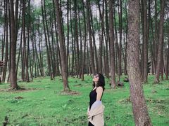 -硗碛藏寨·神木垒景区