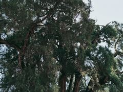 -四门塔风景区