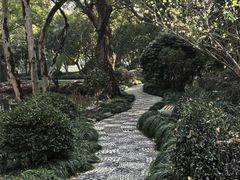 -上海醉白池公园