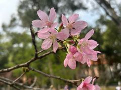 -广州市白云山风景名胜区