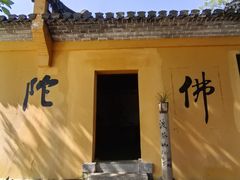 -巢湖姥山岛