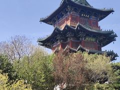 -迎泽公园