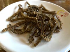 油炸鳝鱼骨-乐山第一家临江鳝丝(茶坊路店)