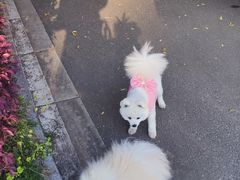 -钟山体育运动公园