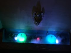 -金色印象·HiFi影音·按摩足疗(龙腾路店)