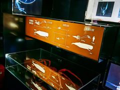 -同济大学四平路校区深海探索馆