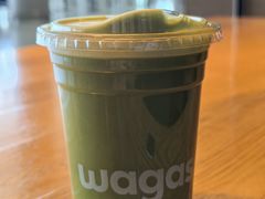 -Wagas沃歌斯(虹桥机场T1店)