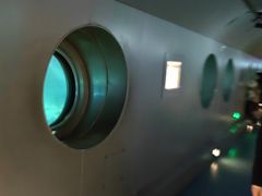 -白鹤梁水下博物馆