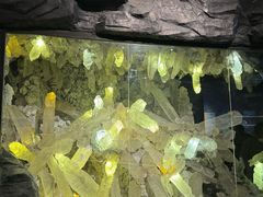 -湖南省地质博物馆