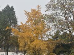 -大雁塔北广场音乐喷泉
