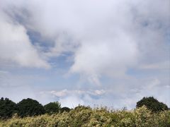-武陵山森林公园