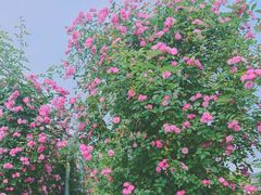 -尚贤河湿地