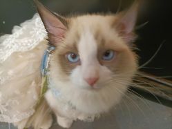 -未来动物城主题公园(正弘城店)