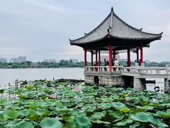 -济南大明湖景区
