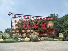 -合肥滨湖国家森林公园