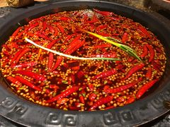 -蜀大侠火锅(建设路第五大道店)