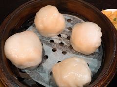 添运来虾饺皇-添运来(茶园奥园广场店)