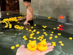 -美的鹭湖森林度假区