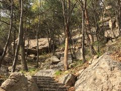 -鲁山国家森林公园