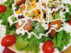蔬菜芝士沙拉-食彩美印度特色美食餐厅·印度料理