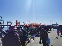 -东疆建设开发纪念公园