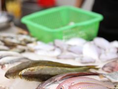 -霞海鸭仔饭店(海滨大道北店)