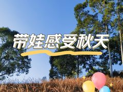 -白石龙音乐公园