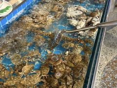 -海草馆自助餐厅(悦海店)