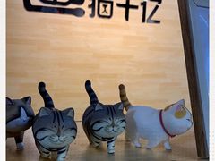 -猫十亿·布偶金渐层·曼基康矮脚猫舍(青年路店)