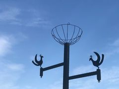 -大湾区中央湿地公园