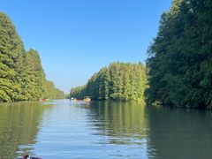 -上海海湾国家森林公园