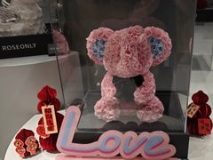 -ROSEONLY诺誓(国际广场购物中心店)