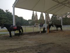 -太阳岛度假酒店