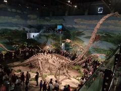 -自贡恐龙博物馆