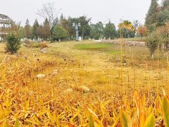 -滆湖低碳生态公园