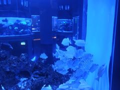 -上和臻品中国菜(花园街店)