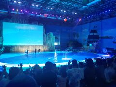 -华夏文旅海洋公园